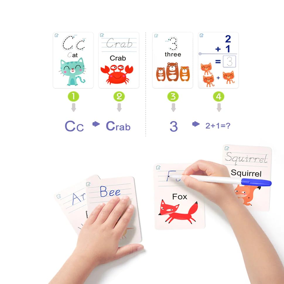 Activity Card Cutello activity-card 3