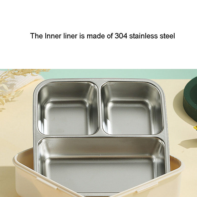 Dino Bento Lunch Box Cutello dino-transparent-lunch-box 4